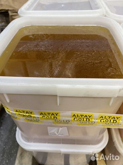 Свежий мед оптом светлое разнотравье