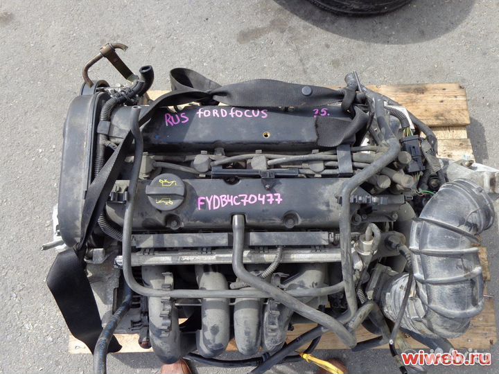 Двигатель fydc Ford Focus 1 1.6