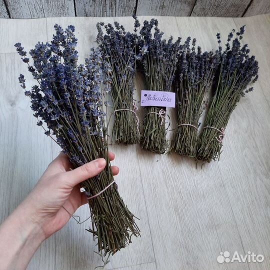 Букет из лаванды