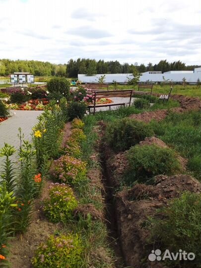 Услуги мини экскаватора