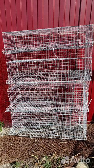 Клетка для перепелок