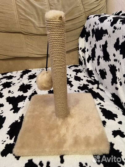 Когтеточка