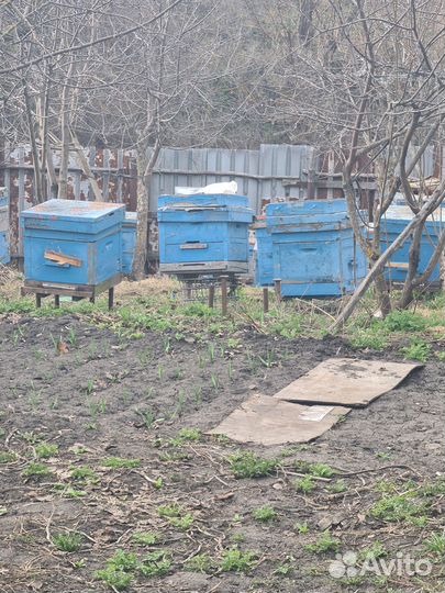 Ульи для пчел бу