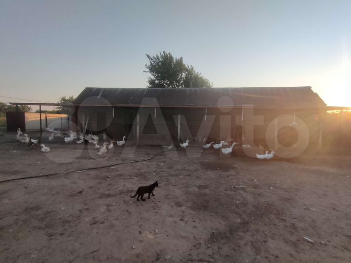 Дом 200 м² на участке 15 сот.