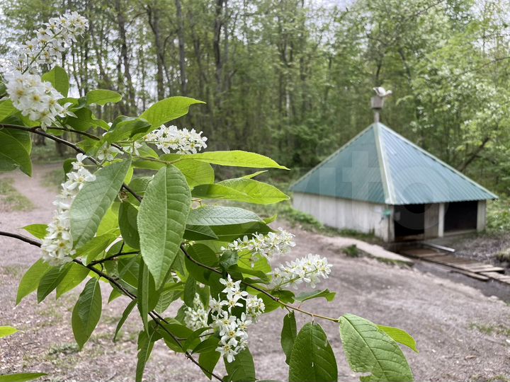 Участок 9,2 сот. (СНТ, ДНП)