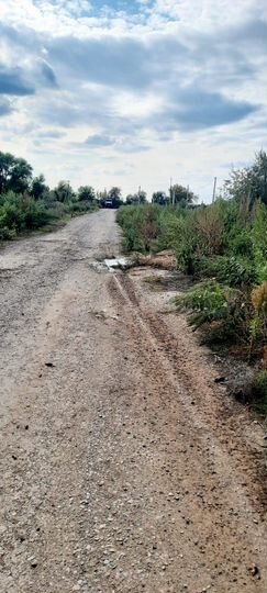 Участок 94,3 сот. (СНТ, ДНП)