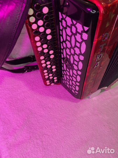 Баян Этюд 205м2 Золотистая роспись Уникальная