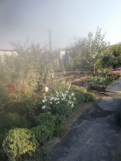 Участок 8 сот. (СНТ, ДНП)