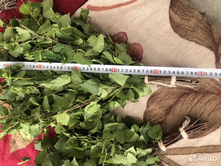 Березовые веники 2023 Банный веник