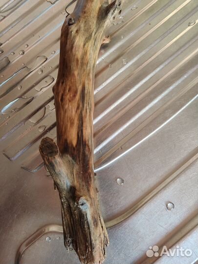 Коряга для аквариума террариума. Декор