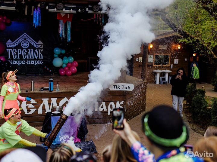 Организация детских праздников