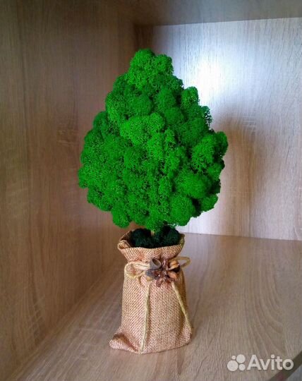 Дерево из стабилизированного мха топиарий