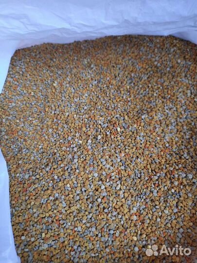 Пыльца (опт, розница)