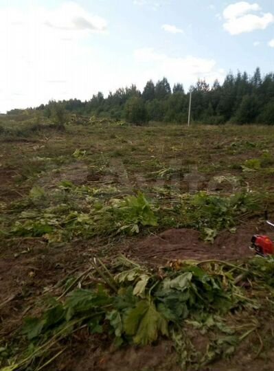 Участок 30 сот. (ИЖС)