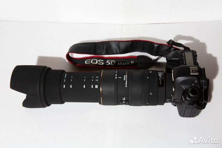 Canon 5d mark ii с супер-телеобъективом 500mm