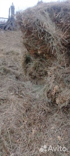 Сено в рулонах 2023года
