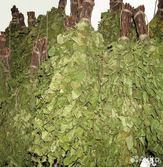 Веники банные березовые