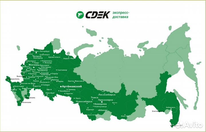 Крыжовник Белорусский красный - саженцы зкс