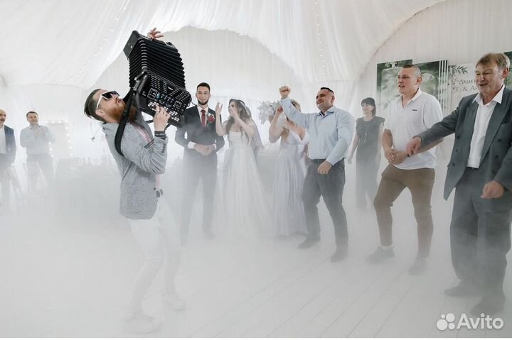 Музыканты на мероприятие, живая музыка