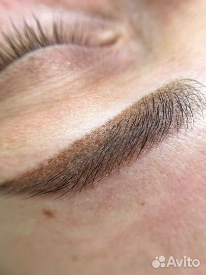 Напыление бровей, межресничка