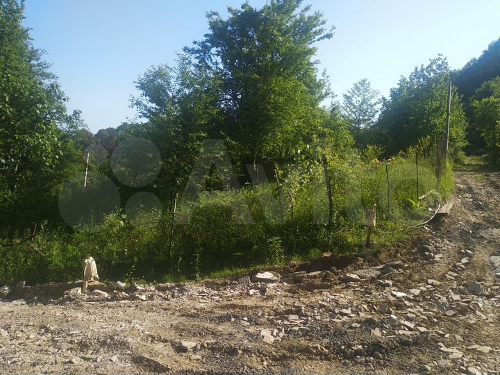 Участок 6 сот. (СНТ, ДНП)
