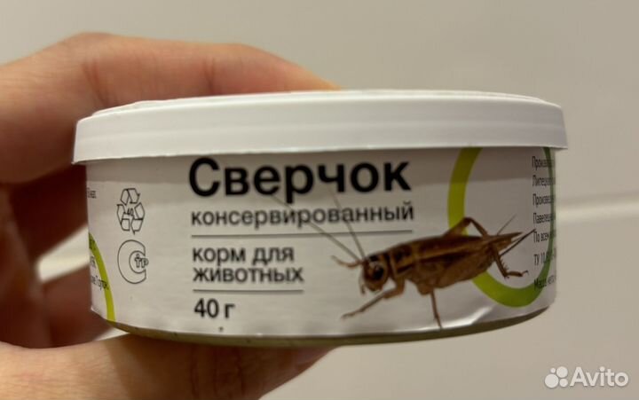 Консервированные замороженные сверчки домовые