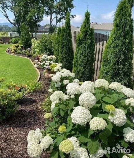 Рулонный газон (посев) под ключ, Ландшафт