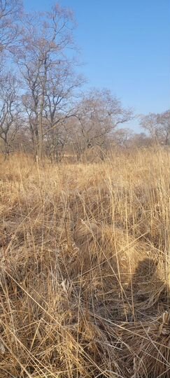 Участок 35 сот. (ИЖС)