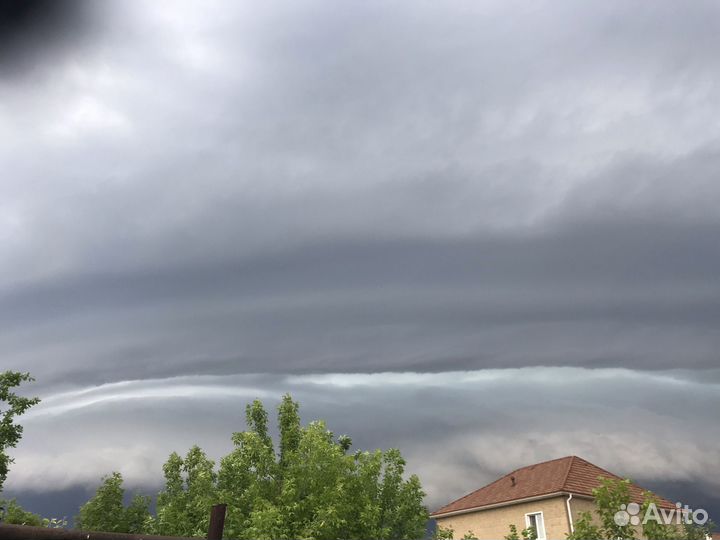 Картофель мелкий на корм скоту