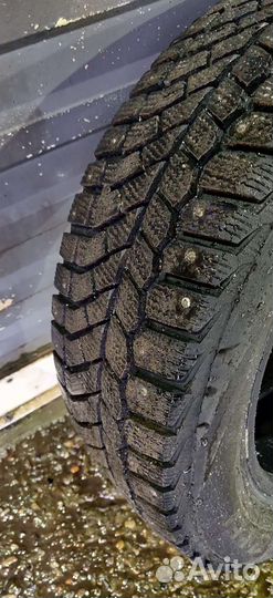 Viatti Bosco Nordico V-523 205/55 R16