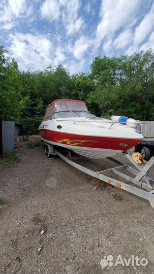 Rinker 232