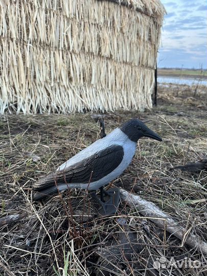 Чучело вороны серой 2 шт