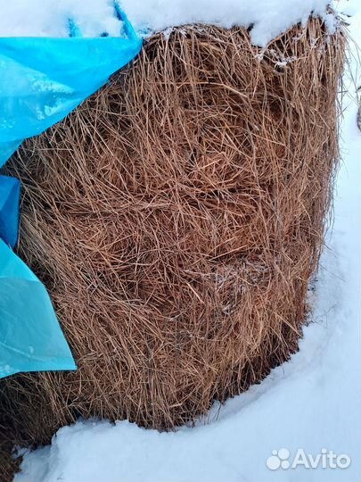 Продам сено в рулонах
