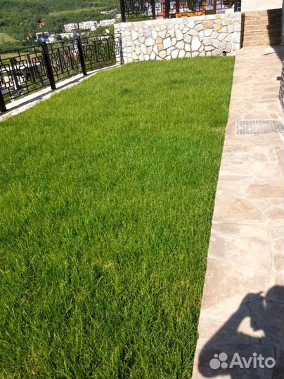 Рулонный газон