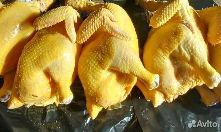 Продажа домашних кур