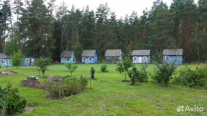 Требуются плотник, помощник плотника