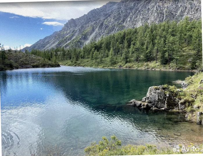 Турпутевка на Алтай летом экскурсия 4-7 дней