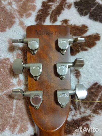 Акустическая гитара morris w-25 japan