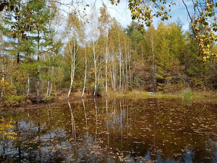 Дача 30 м² на участке 10 сот.