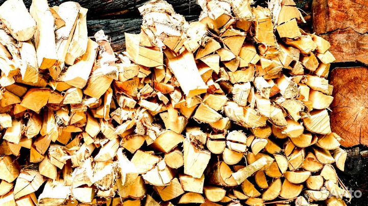 Дрова береза от производителя