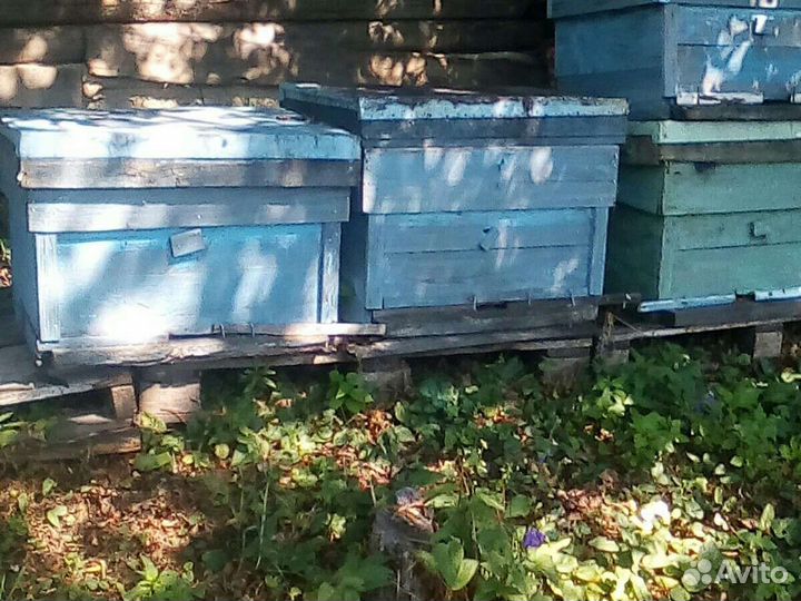 Ульи рамки и другой инвентарь