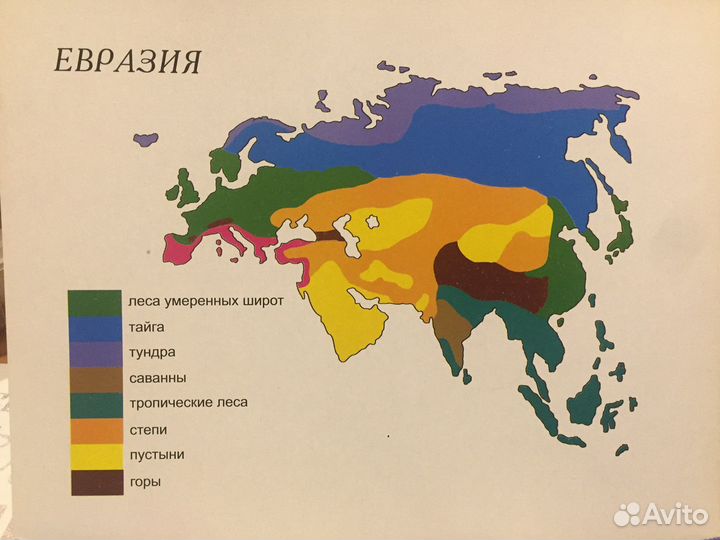 Детские развивающие игры