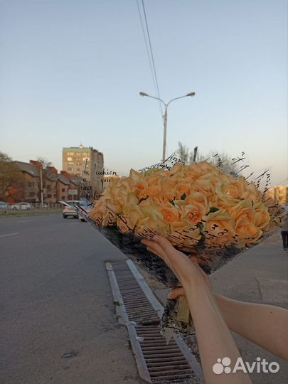 51 роза 40 см