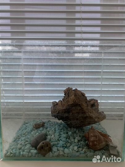 Аквариум для рыбок стеклянный
