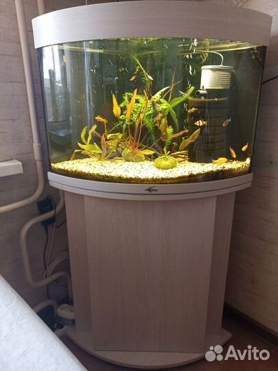 Аквариум Биодизайн