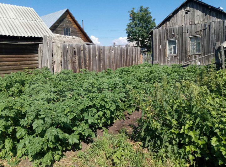 Дом 45 м² на участке 8 сот.