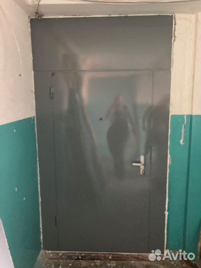 Дверь входная подъездная