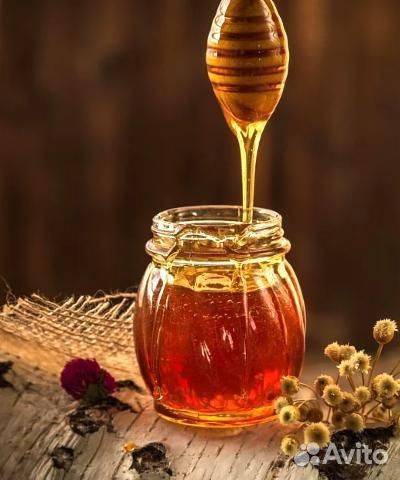 Свежий мед с пасеки