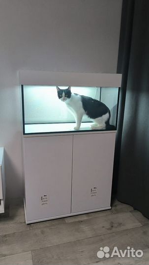 Аквариум с тумбой новый 140л