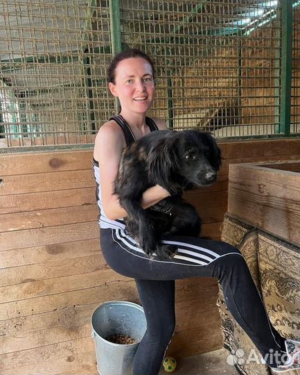 Маленькой Пуговке страшно в приюте